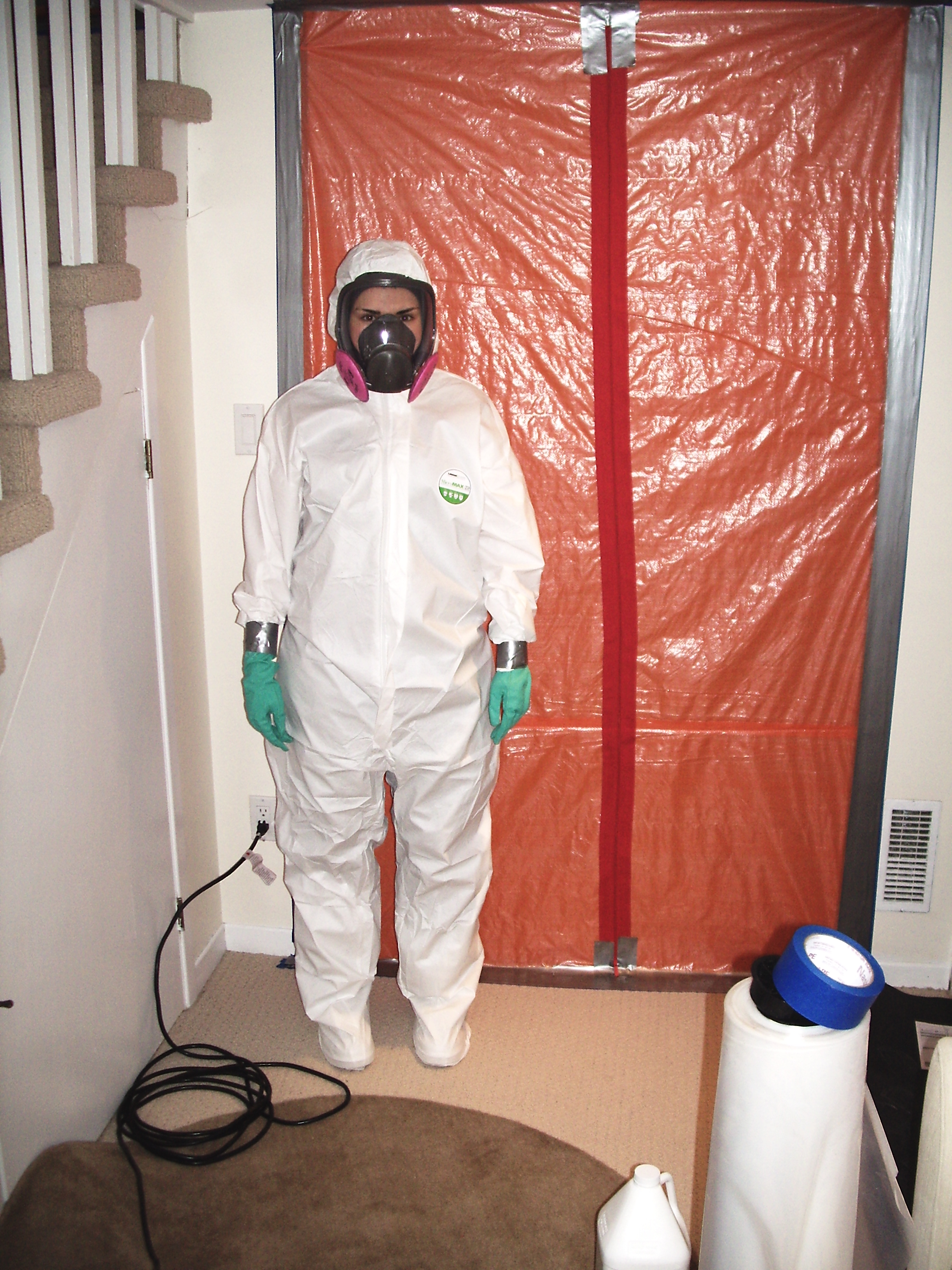 Mold Removal